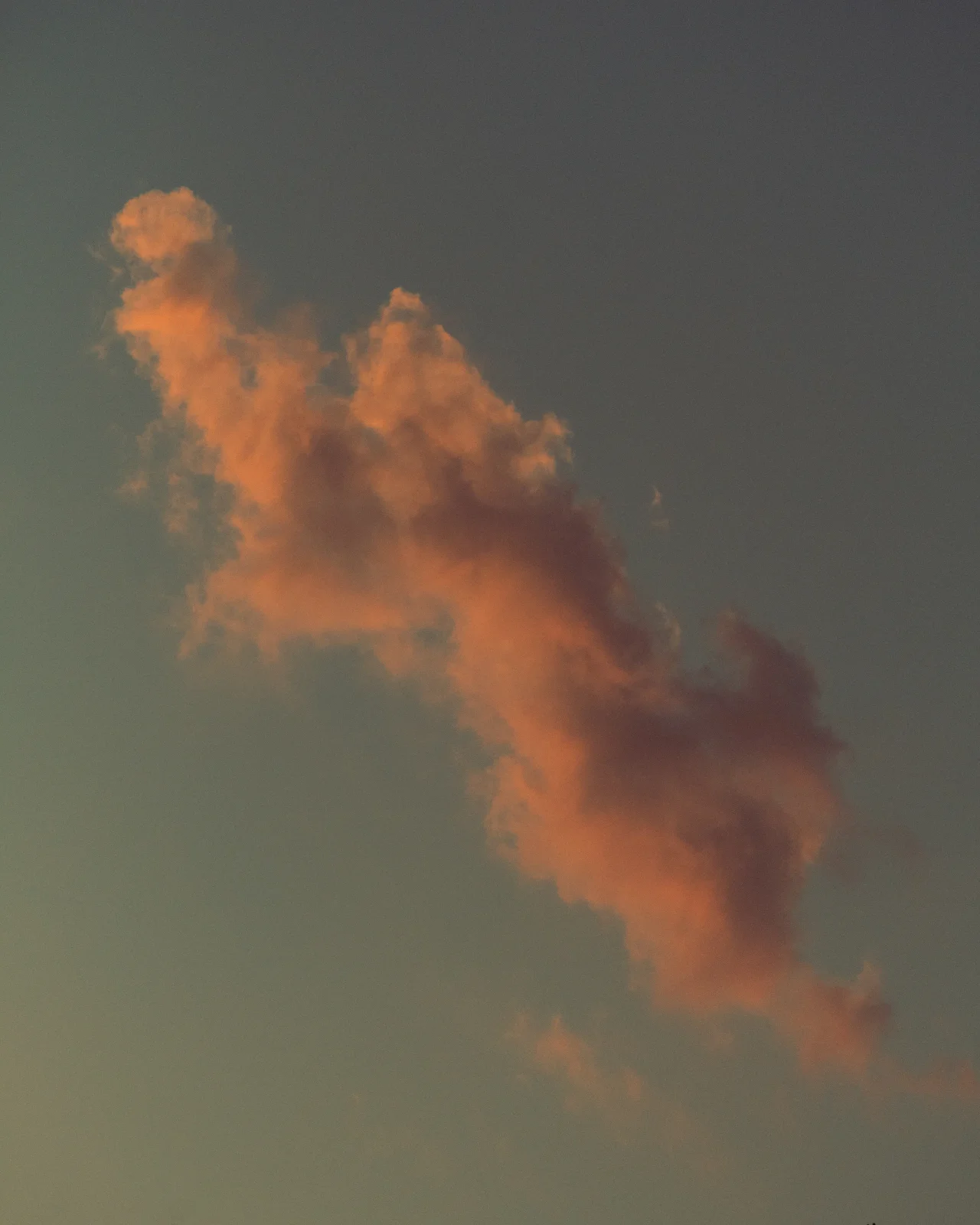 nature photography by JRMGraphy